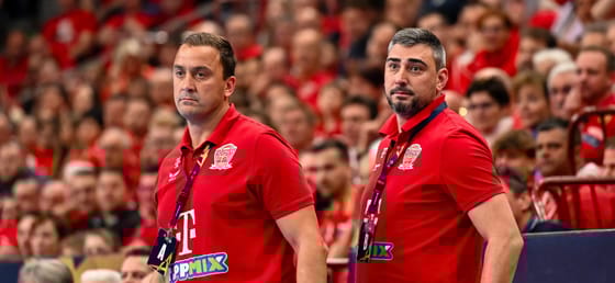 Távozik a veszprémi kézicsapat vezetőedzője