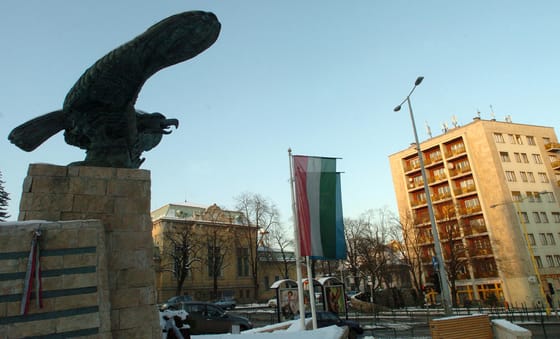 Így gondozd a turulodat - avagy a nemzeti totemállat magyarországi lelőhelyei
