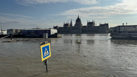 Tick: Alarm bells had been ringing: This flood was nothing compared to the flood to come