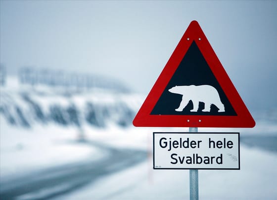 Norvégia megakadályozta egy jókora terület eladását Kínának