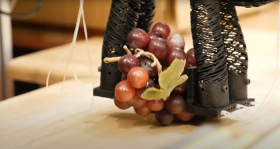 Az önkiszolgáló kasszák mellé: itt a bolti robot, ami be is csomagolja szatyorba a vásárolt élelmiszereket – videó
