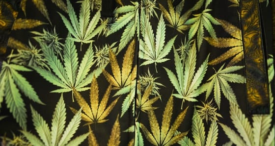 A „saját ürülékükben fekve”, magatehetetlenül találtak rá a kábító  gumicukor áldozataira, a szakértő szerint nem volt meglepő az állapotuk