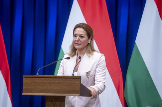 Kormányszóvivő: Van, aki folyamatosan sír és picsog az önkormányzati vezetők közül
