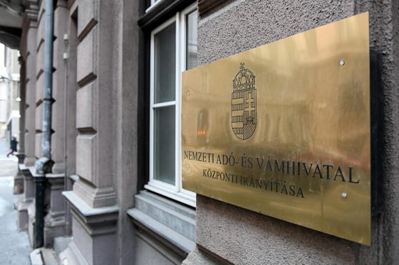 Ismét tolódik a bevallási határidő a NAV informatikai hibája miatt