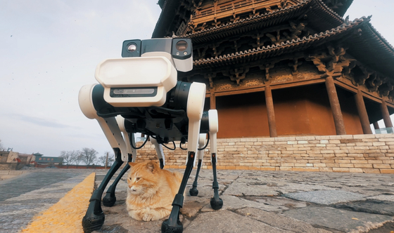 Hatlábú robotkutya védi Kínában az 1056-ban épült pagodát – videó