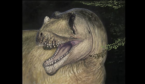 Lebombázták a II. világháborúban, így aztán csak most, 111 éves fotókon találtak egy új dinoszauruszt