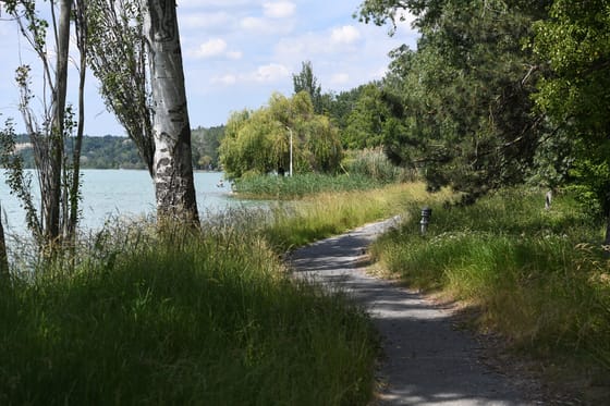 Nem sérti az Alaptörvényt a balatonaligai lakópark-építkezés kiemeltté nyilvánítása