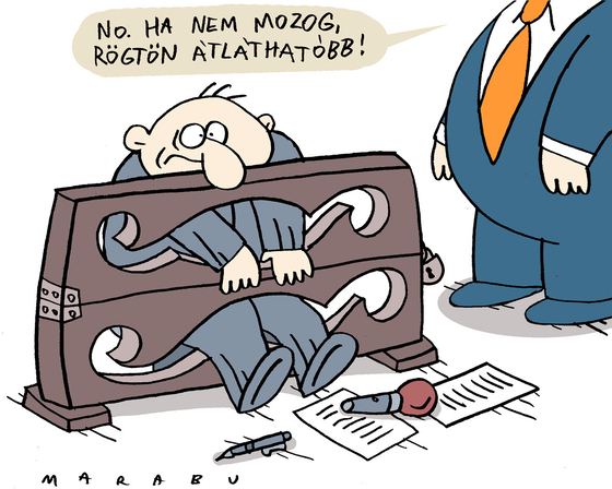 Marabu Féknyúz: Lex poloska