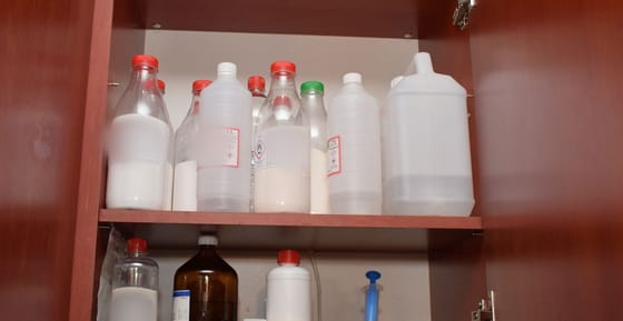 Elefántnyugtatót is talált a rendőrség a soproni Walter White-nál – videó