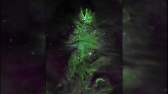 Ünnepi hangulat NASA-módra: kozmikus karácsonyfáról és fényben úszó koszorúról is érkeztek fotók