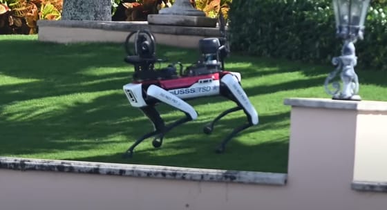 Videó: robotkutya vigyáz Donald Trumpra a floridai birtokán