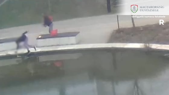 Tóba lökte a hatvani nőt, hogy elrabolja a táskáját – videó