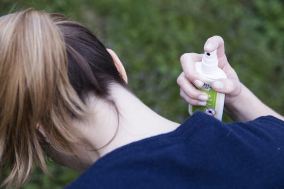 Kullancsinvázióra figyelmeztetnek az enyhe tél miatt, már most érdemes résen lenni