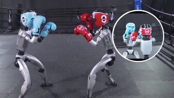 Már bokszolni is tud a kínai humanoid robot – videó