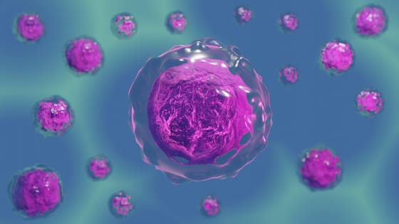 Nyakunkon lehet a következő pandémia? Aggódnak a szakemberek a madárinfluenza miatt
