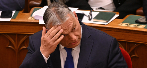 Orbán nagy válságáról beszél Zárug Péter Farkas jobboldali politológus, de egy választási vereség után sem temetné még