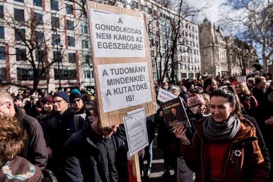 Privatizálná a kormány a kutatóhálózatot az Akadémiai Dolgozók Fóruma szerint