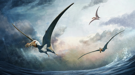 Technology: New types of flying pterosaurs discovered in Australia