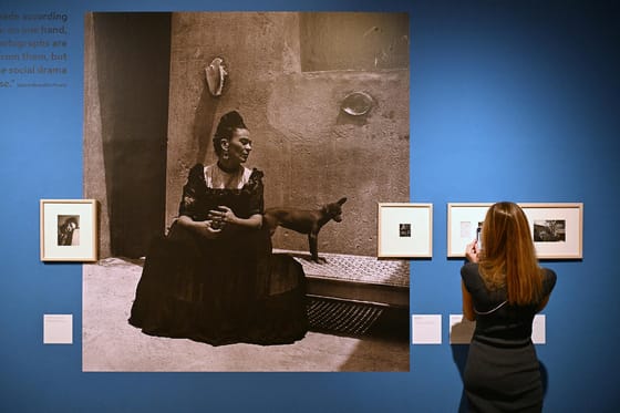 Szabadon felhasználhatóvá váltak Robert Capa fotói, Frida Kahlo festményei és Herczeg Ferenc művei is