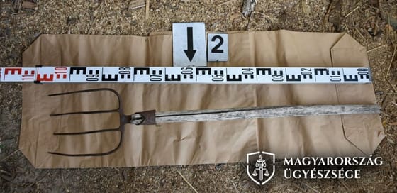 Lopott a boltból, majd vasvillával támadt a kiérkező rendőrre egy tolnai férfi