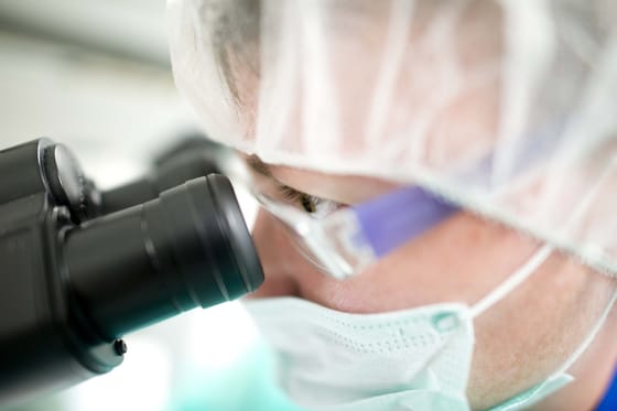Óvatosabbnak kell lenni az őssejtek terápiás használata során magyar kutatók szerint