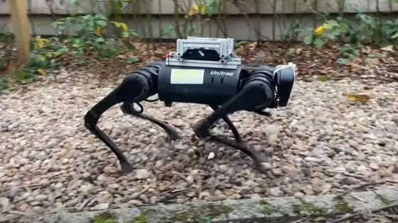 A vakvezető kutyákat is kiválthatja a szingapúri robotkutya