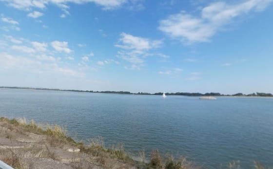 Ellophattak a Dunából egy méregdrága mérőműszert, fizetnek, ha valaki megtalálja