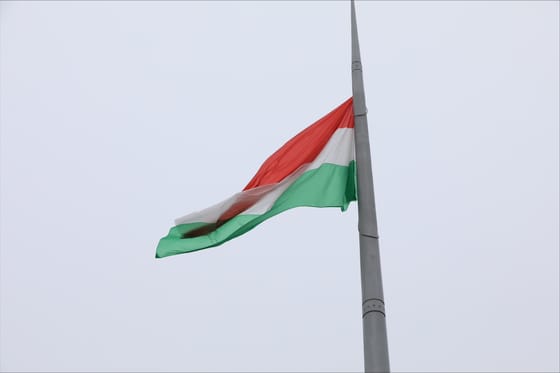 Benyújtotta a Fidesz az állampolgárság felfüggesztését lehetővé tevő javaslatot