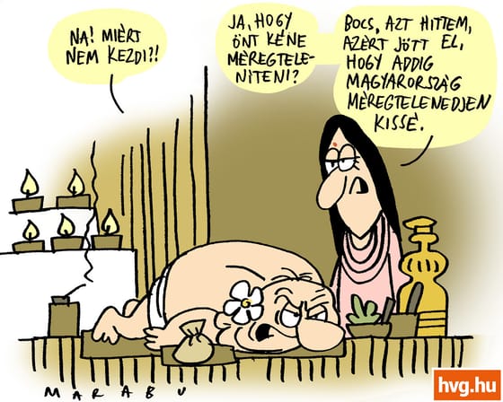 Marabu Féknyúz: Ájurvéda