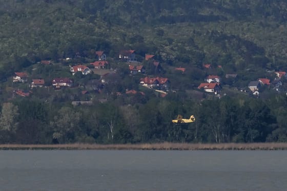 A Duna és a Lajta mentén gyérítik a szúnyogokat az árvíz után
