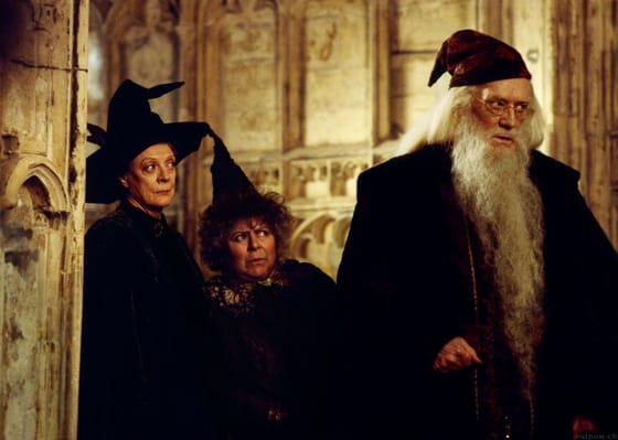 A Dumbledore-t alakító színész fia nem játszana a Harry Potter-sorozatban, nem is érti, minek az egész