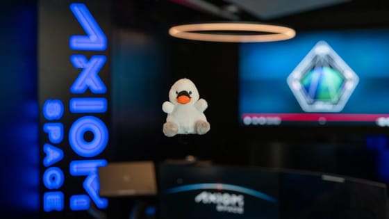 Egy plüsshattyú is az űrbe megy Kapu Tiborékkal