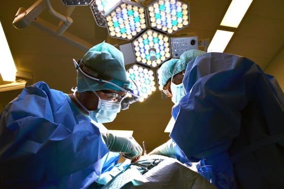 A világon elsőként ültettek be sertésmájat egy emberbe Kínában