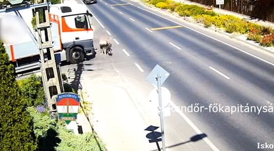 Le is szállt a járművéről a kerékpáros, hogy átmenjen a teherautó előtt, de az nem vette észre – videó