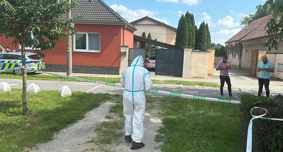 Halálra késeltek egy terhes anyát Diószegen, magzatát sem tudták megmenteni