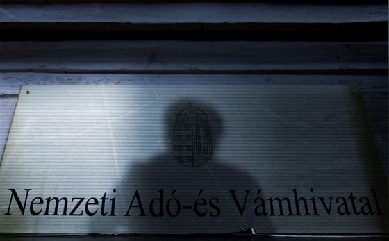 Két és fél tonna félbevágott disznó rohadt meg egy teherautóban