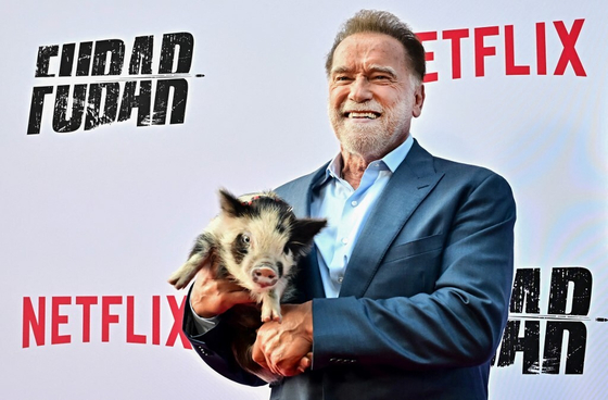Arnold Schwarzenegger egy törpemalaccal ment premierre