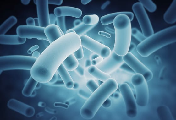 Így indul majd egy új világjárvány? 2000 km-t is utazhatnak a levegőben az antibiotikumra rezisztens baktériumok