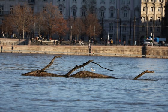 Már 500 kilométeren van árvízi készültség, Budapesten szombaton tetőzik a Duna