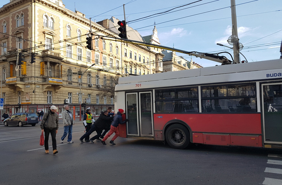 Szülést levezető buszsofőr, elveszett gyerek és a kóbor cica - öt hihetetlen sztorit szedett össze a BKK