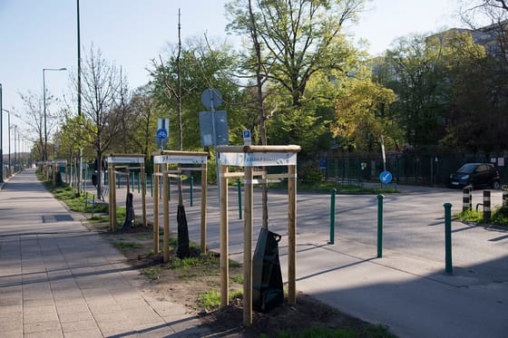 Kinevezték a Főkert új főigazgatóját