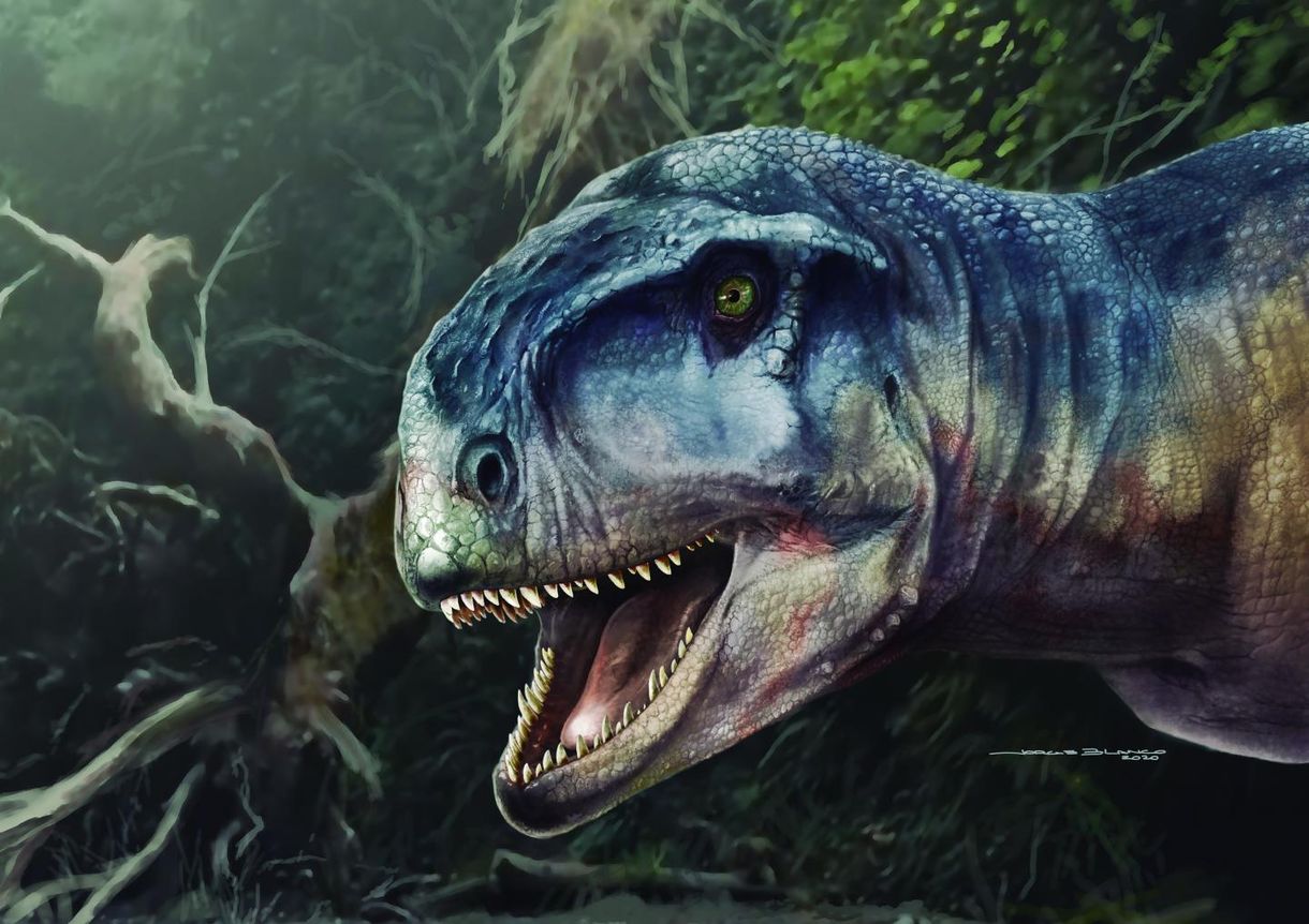 85 millió éve élt húsevő dinoszaurusz koponyájára bukkantak a tudósok