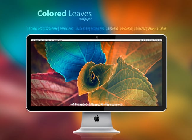 Mai háttérkép: Colored Leaves - levelek, nem mindennapi változatban