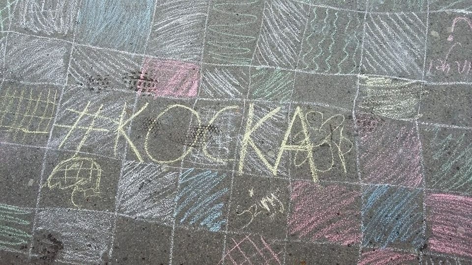 Oktatásügyi népszavazás? Aki kérdez: Kassainé Szegfű Zsuzsanna