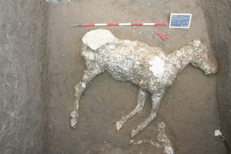 Majdnem kétezer éves lovat találtak Pompejiben