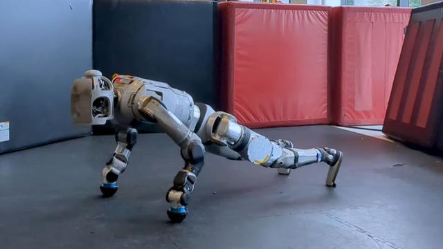 Ijesztők, furcsák, plüssök: 8 nagyon vad robot, amit látnia kell