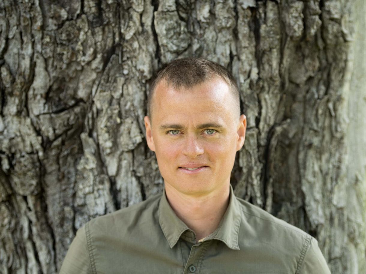 Máté Bence: 