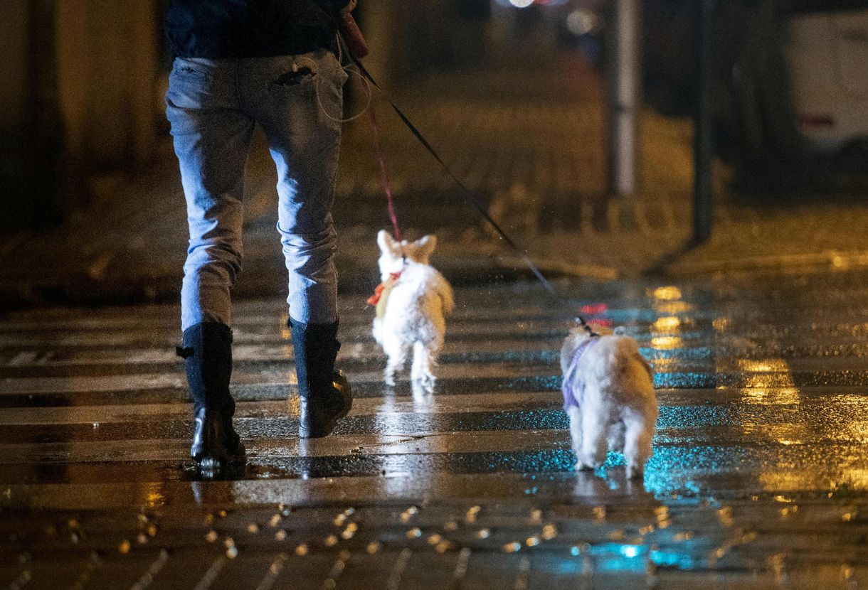 Szöges kolbásszal próbáltak kutyákat megölni Hódmezővásárhelyen
