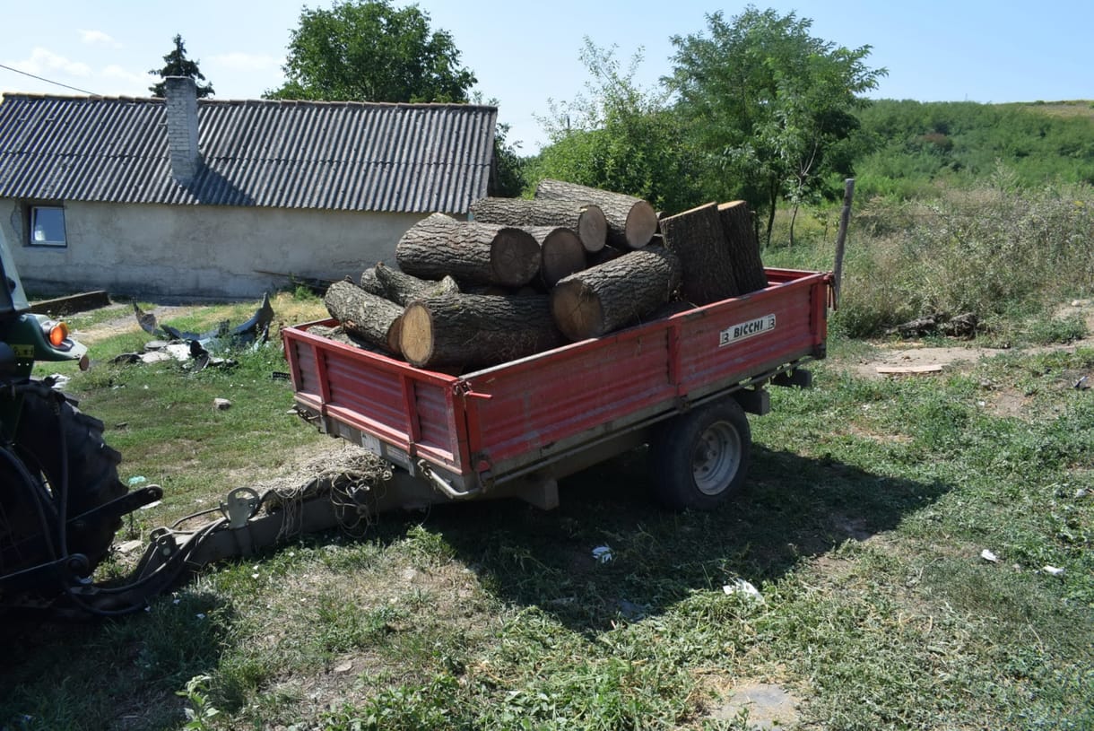 Három fatolvajt is elkaptak a rendőrök Sajókazán