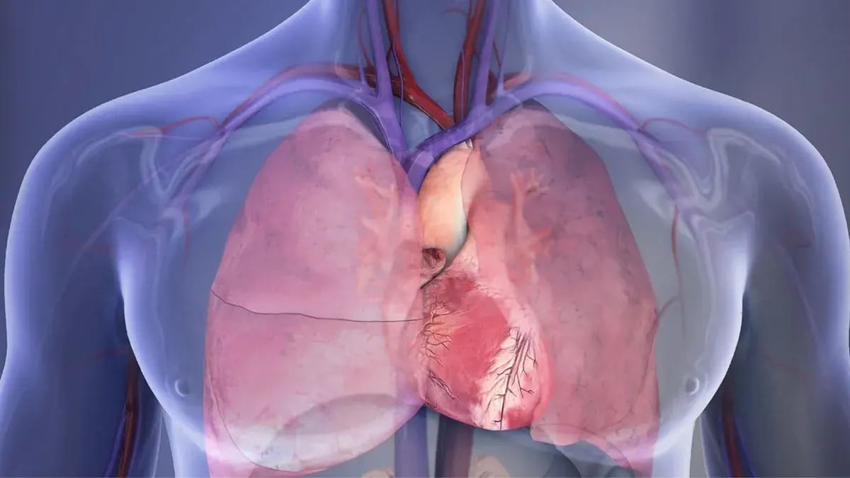 Zseniális az ötlet, hogy szívdobogással töltik a pacemaker akkumulátorát, így 1,5 évvel tovább működhet